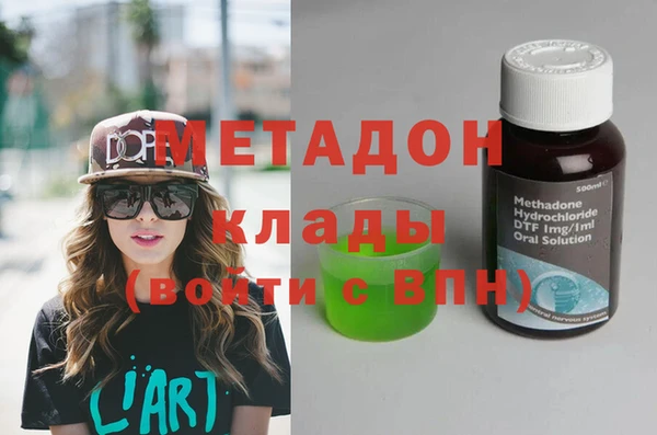 прущие грибы Арсеньев