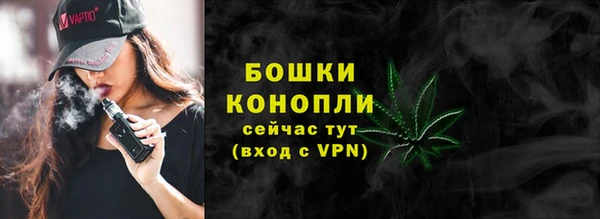 прущие грибы Арсеньев