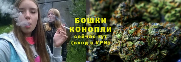 прущие грибы Арсеньев