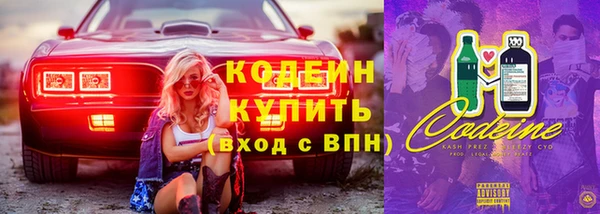 прущие грибы Арсеньев