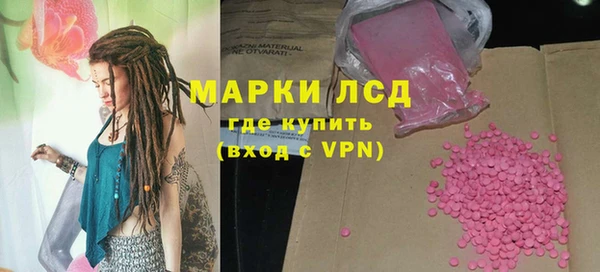 прущие грибы Арсеньев