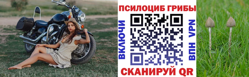 Псилоцибиновые грибы Cubensis  Николаевск 